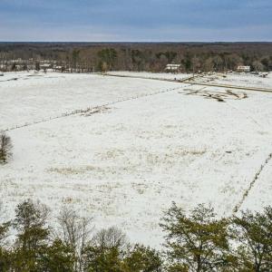 Photo #23 of BIBB STORE RD, LOUISA, VA 8.6 acres