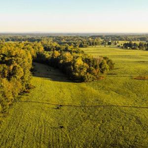 Photo #4 of BIBB STORE RD, LOUISA, VA 8.6 acres