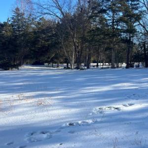 Photo #2 of 5402 SPINNAKER WAY, MINERAL, VA 1.4 acres