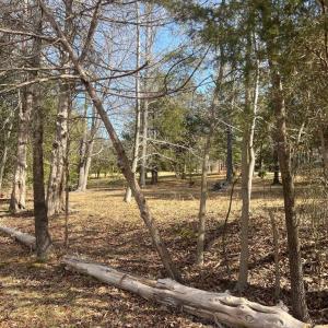 Photo #2 of 5400 SPINNAKER WAY, MINERAL, VA 1.1 acres