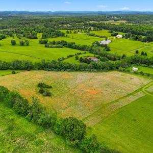 Photo #5 of WINDEMEER LANE, AMISSVILLE, VA 10.0 acres