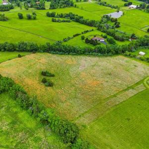 Photo #6 of WINDEMEER LANE, AMISSVILLE, VA 10.0 acres