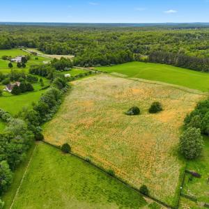 Photo #7 of WINDEMEER LANE, AMISSVILLE, VA 10.0 acres