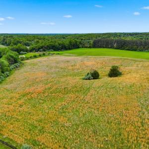 Photo #8 of WINDEMEER LANE, AMISSVILLE, VA 10.0 acres
