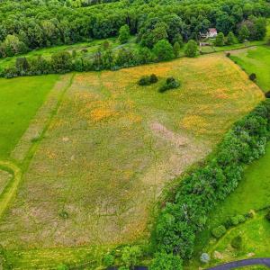 Photo #12 of WINDEMEER LANE, AMISSVILLE, VA 10.0 acres