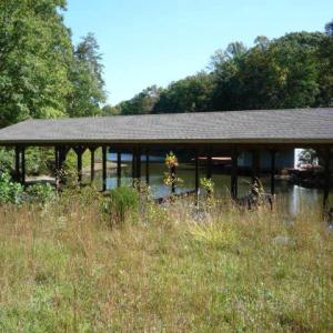 Photo #6 of 22 AEOLIAN WAY, BUMPASS, VA 10.0 acres