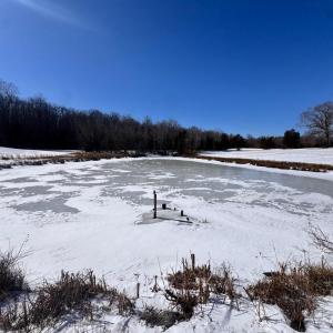 Photo #11 of 22 AEOLIAN WAY, BUMPASS, VA 10.0 acres