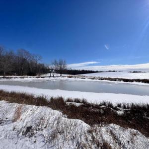 Photo #12 of 22 AEOLIAN WAY, BUMPASS, VA 10.0 acres