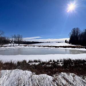 Photo #13 of 22 AEOLIAN WAY, BUMPASS, VA 10.0 acres