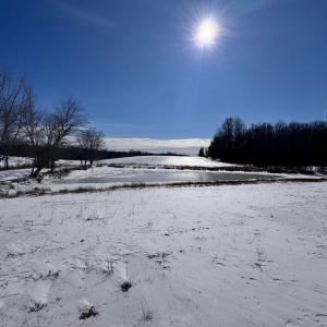 Photo #14 of 22 AEOLIAN WAY, BUMPASS, VA 10.0 acres