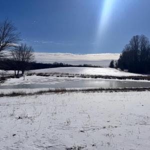 Photo #15 of 22 AEOLIAN WAY, BUMPASS, VA 10.0 acres