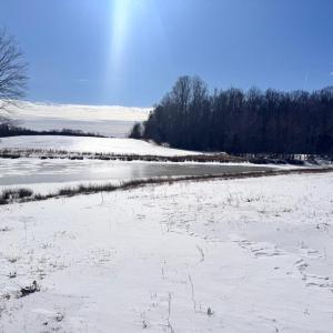 Photo #16 of 22 AEOLIAN WAY, BUMPASS, VA 10.0 acres