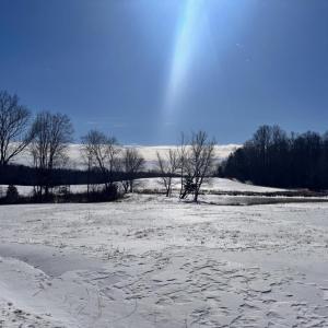 Photo #10 of 22 AEOLIAN WAY, BUMPASS, VA 10.0 acres