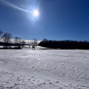 Photo #9 of 22 AEOLIAN WAY, BUMPASS, VA 10.0 acres