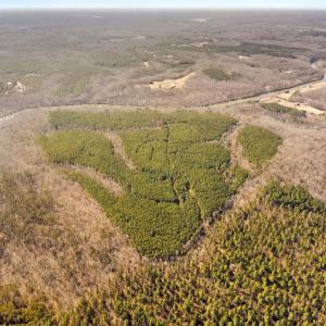 Photo #4 of OFF SNAKE CASTLE ROAD, SUMERDUCK, VA 191.5 acres