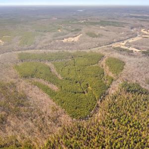 Photo #5 of OFF SNAKE CASTLE ROAD, SUMERDUCK, VA 191.5 acres