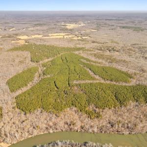 Photo #7 of OFF SNAKE CASTLE ROAD, SUMERDUCK, VA 191.5 acres