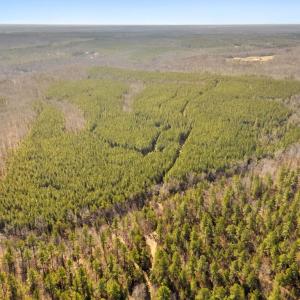 Photo #8 of OFF SNAKE CASTLE ROAD, SUMERDUCK, VA 191.5 acres