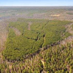 Photo #9 of OFF SNAKE CASTLE ROAD, SUMERDUCK, VA 191.5 acres