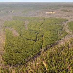 Photo #10 of OFF SNAKE CASTLE ROAD, SUMERDUCK, VA 191.5 acres