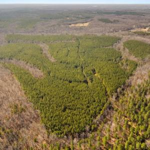 Photo #11 of OFF SNAKE CASTLE ROAD, SUMERDUCK, VA 191.5 acres