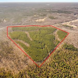 Photo #2 of OFF SNAKE CASTLE ROAD, SUMERDUCK, VA 191.5 acres