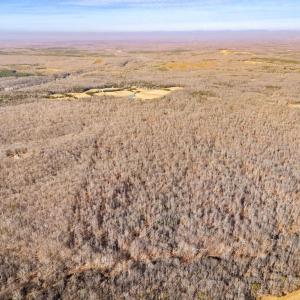 Photo #11 of SPRING MILL ROAD, GOLDVEIN, VA 404.7 acres