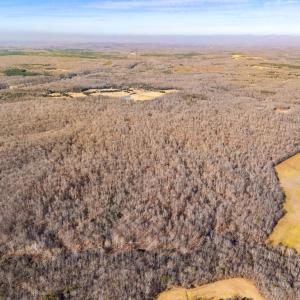 Photo #12 of SPRING MILL ROAD, GOLDVEIN, VA 404.7 acres