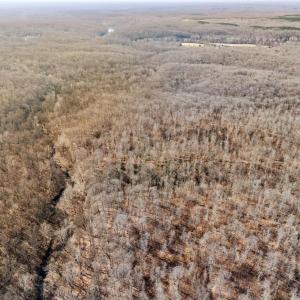 Photo #15 of SPRING MILL ROAD, GOLDVEIN, VA 404.7 acres