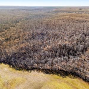 Photo #16 of SPRING MILL ROAD, GOLDVEIN, VA 404.7 acres