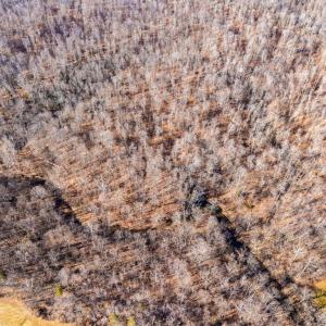 Photo #31 of SPRING MILL ROAD, GOLDVEIN, VA 404.7 acres