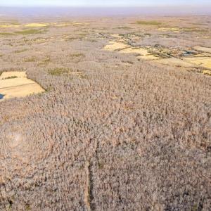 Photo #9 of SPRING MILL ROAD, GOLDVEIN, VA 404.7 acres