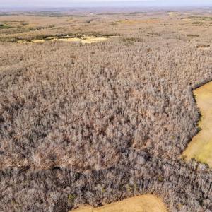 Photo #13 of SPRING MILL ROAD, GOLDVEIN, VA 404.7 acres