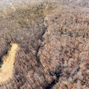 Photo #14 of SPRING MILL ROAD, GOLDVEIN, VA 404.7 acres