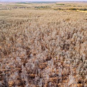 Photo #33 of SPRING MILL ROAD, GOLDVEIN, VA 404.7 acres