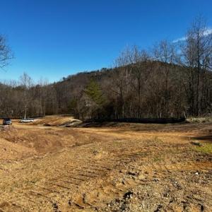 Elm View