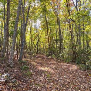 Photo #23 of CASTLETON VIEW ROAD, CASTLETON, VA 25.2 acres