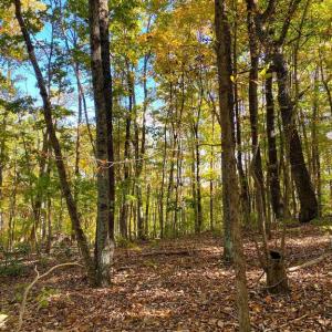 Photo #24 of CASTLETON VIEW ROAD, CASTLETON, VA 25.2 acres