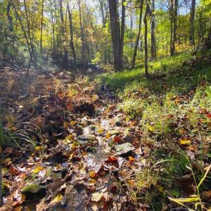 Photo #15 of CASTLETON VIEW ROAD, CASTLETON, VA 25.2 acres