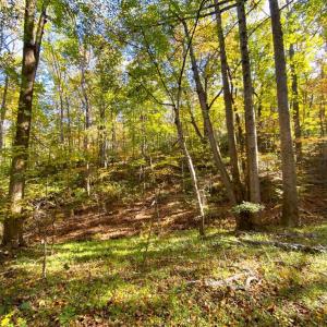 Photo #30 of CASTLETON VIEW ROAD, CASTLETON, VA 25.2 acres