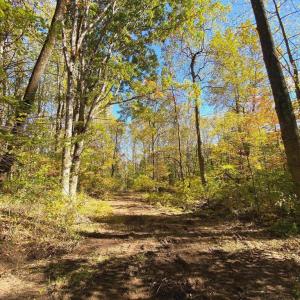 Photo #16 of CASTLETON VIEW ROAD, CASTLETON, VA 25.2 acres