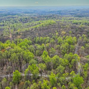 Photo #6 of CASTLETON VIEW ROAD, CASTLETON, VA 25.2 acres