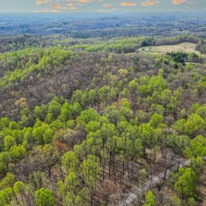 Photo #8 of CASTLETON VIEW ROAD, CASTLETON, VA 25.2 acres