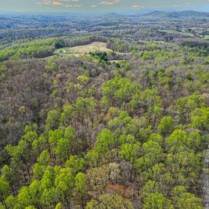 Photo #9 of CASTLETON VIEW ROAD, CASTLETON, VA 25.2 acres
