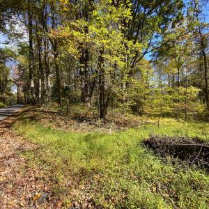 Photo #32 of CASTLETON VIEW ROAD, CASTLETON, VA 25.2 acres