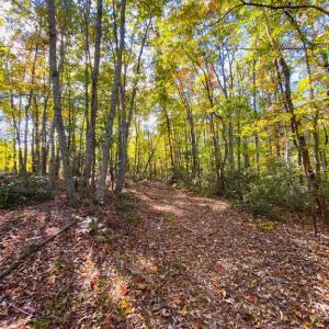 Photo #21 of CASTLETON VIEW ROAD, CASTLETON, VA 25.2 acres