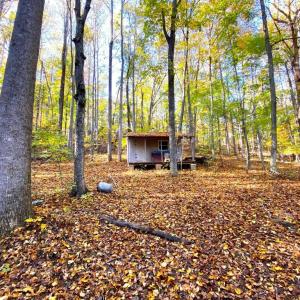 Photo #26 of CASTLETON VIEW ROAD, CASTLETON, VA 25.2 acres