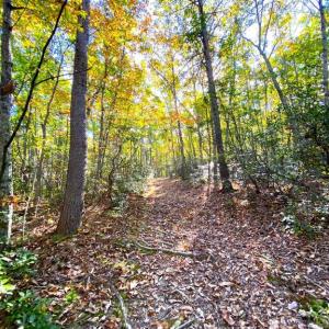 Photo #19 of CASTLETON VIEW ROAD, CASTLETON, VA 25.2 acres