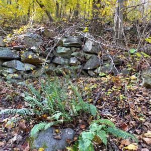 Photo #17 of CASTLETON VIEW ROAD, CASTLETON, VA 25.2 acres