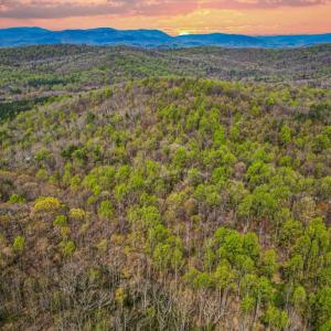 Photo #1 of CASTLETON VIEW ROAD, CASTLETON, VA 25.2 acres